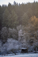Ambiance hivernale dans le Parc Naturel Régional des Ballons des Vosges, Kaysersberg vignoble, CEA, Alsace, Grand Est