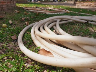 Water hose in the park
