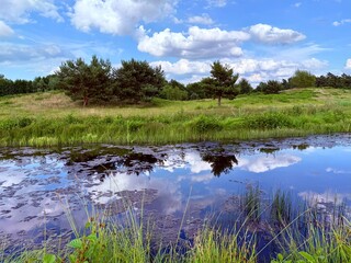 vivid pond reflection on the golf course