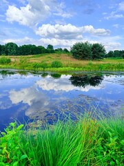 vivid pond reflection on the golf course