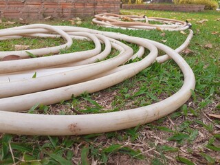 Water hose in the park