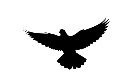 Obraz premium Black silhouette of a dove in flight isolated on white background