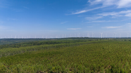 Reforestation and energy conservation projects from wind turbines and technology
