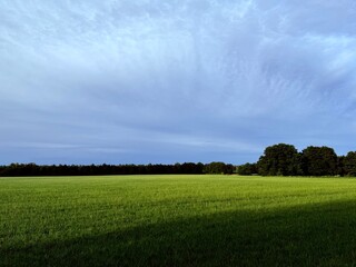 green field horizon, summertime