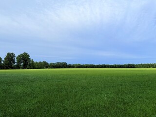 green field horizon, summertime