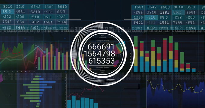 Displaying central circular data visualization on dashboard, with numeric readouts and bar charts