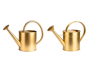 Antique silver metal watering can with handle as gardening tool isolated on white background