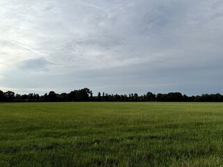 green field horizon, summertime