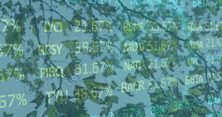 Merging tree branches and green leaves across misty canopy, with stock ticker and % overlay
