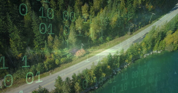 Fototapeta Driving dark car navigating two-lane road beside forested shoreline, with utility poles power lines