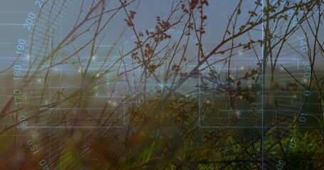 Digital HUD scanning slender twigs with dried buds and grasses at meadow edge, with grid crosshair