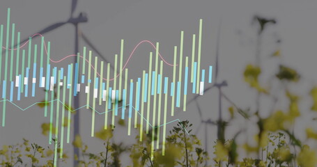 Displaying data overlay over rural field, showing bars, curves, wind turbines and yellow flowers