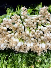 Scallions in a market
