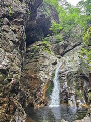 Small Waterfall in a Quiet Mountain Forestwaterfall in the forest