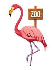 Flamingo Bird Holding A Zoo Sign With Beak
