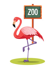 Pink Flamingo Holding A Red Zoo Signboard
