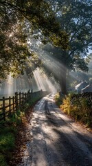 Naklejka premium Sunbeams illuminate a country lane