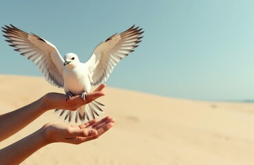 A white seagull takes flight from a person's hand in a sandy desert landscape