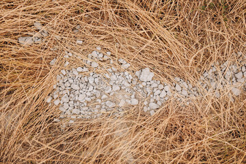 Small stones placed in the center of dry yellow grass. A natural, minimalistic scene representing drought, summer heat, or a rural environment.