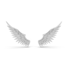 Pair of White Wings ,3d, transparent background, png