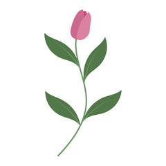 Flower Simple Illustration