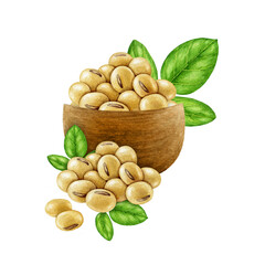 Soybeans in a wooden bowl watercolor illustration isolated on white background. Hand drawn pile of soy beans with green leaf element. Soya plant based natural organic vegan source of protein