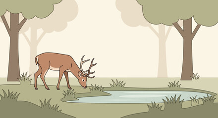 Deer Grazing Quietly By a Serene Pond in a Peaceful Forest Landscape