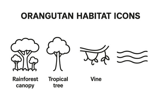 Orangutan Habitat Icons Vector Set. Outline Rainforest Canopy, Tropical Tree, Vine, River, Jungle Elements. Nature Symbols for Conservation, Wildlife, Borneo, Sumatra, Endangered Animal Environment