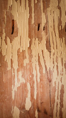 abstract background, texture, rust background, wood, concrete, stone