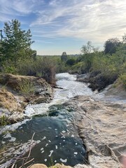 River Flowing in Forest