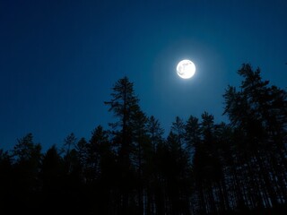 A bright full moon shining over a dark forest landscape at night with a clear blue sky