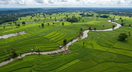 Fototapeta premium Aerial view captures the lush green landscape of tiered rice paddies and winding river