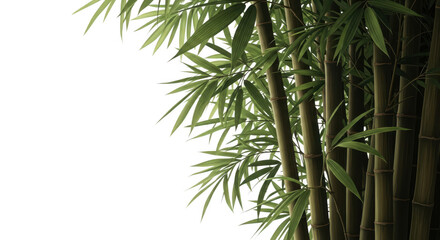 Naklejka premium Green bamboo stalks with leaves isolated on transparent background