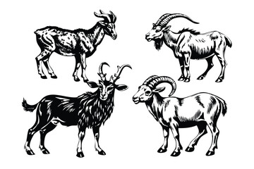 Horned Animals Woodcut Vector Set - Ram, Bull, and Stag Engraved Illustrations