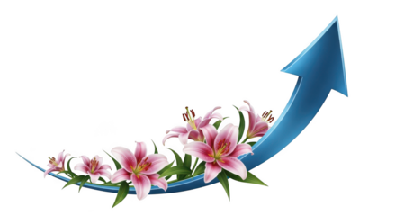 Blue arrow growth with pink lilies isolated on transparent background