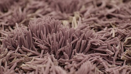 Close-up of textured, tufted carpet fibers