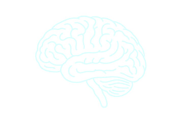 Glowing human brain outline. Neon luminous mind map. Abstract cerebral cortex vector illustration. Sci-fi medical neural network. Medical science anatomy. Intelligence synapse. Transparent background.