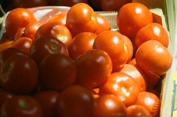 Fresh Tomatoes on Film