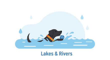 Obraz premium Black Labrador Retriever Fetching Ball In Cool Water On A Sunny Day
