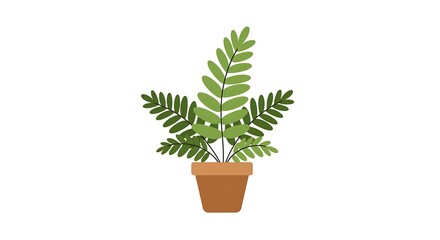 Obraz premium Potted Green Fern Plant Illustration