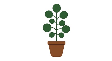 Obraz premium Minimalist flat vector illustration of a green houseplant with round leaves in a brown pot, symbolizing growth, nature, and simplicity