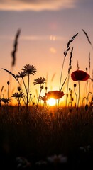 Golden hour meadow: Silhouette of wildflowers basking in the warm glow of the setting sun