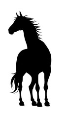 Fototapeta premium 馬のシルエット horse silhouette （Generative AI）