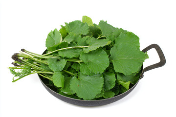 a pot of green leaves on a white surface