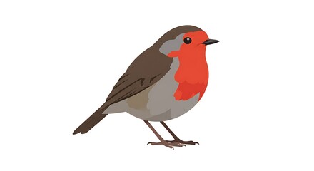 Obraz premium Charming European Robin Perched on a White Background, a Symbol of Spring and Nature's Beauty