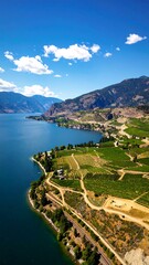 Obraz premium Scenic lake and vineyard views