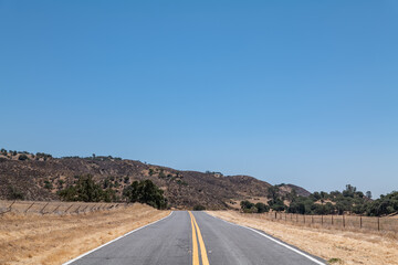 Quercus douglasii, known as blue oak, is a species of oak endemic to California. San Benito County, California State Route 25. Mediterranean climate / dry summer climate

