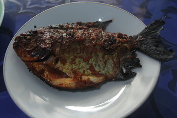 grilled fish