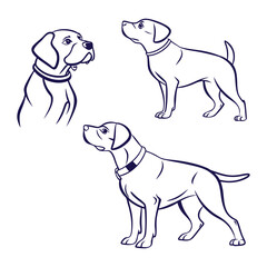 Pointing Dog Line Drawing – Hunter’s Companion Art