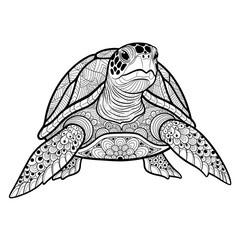 Fototapeta premium illustrations Turtle with a patterned shell.